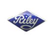 This is a picture of RILEY