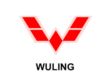 This is a picture of WULING