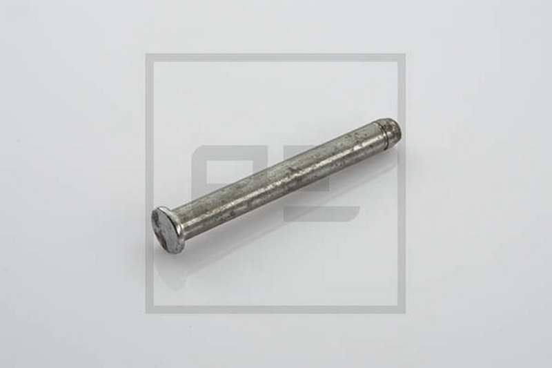 PE AUTOMOTIVE Federbolzen 10069694 Außendurchmesser [mm]: 8, Länge [mm]: 69, Gewicht [kg]: 0,0273