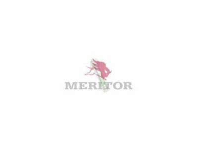 MERITOR Nachrüstsatz, Klimaanlage