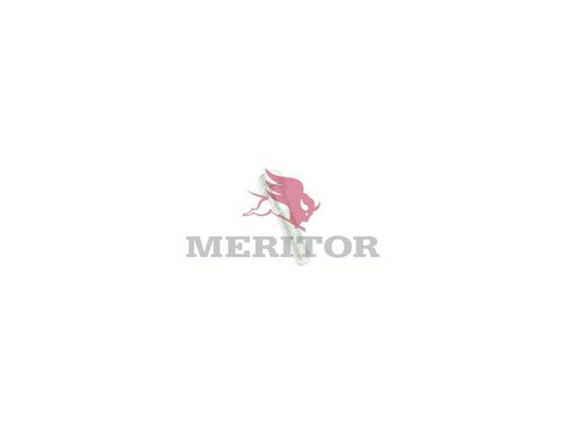 MERITOR Nachrüstsatz, Klimaanlage 101289 