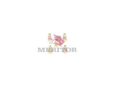 MERITOR Nachrüstsatz, Klimaanlage