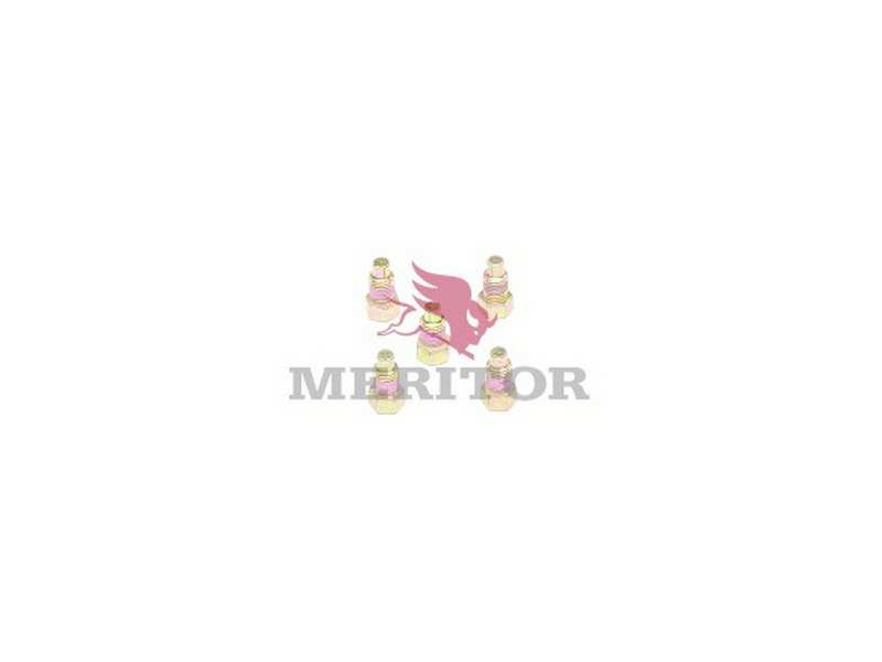 MERITOR Nachrüstsatz, Klimaanlage 101295 