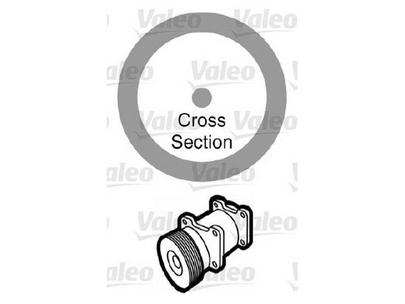 VALEO O-ring 273272 20 Stück/Packung
Gewicht [kg]: 0,008