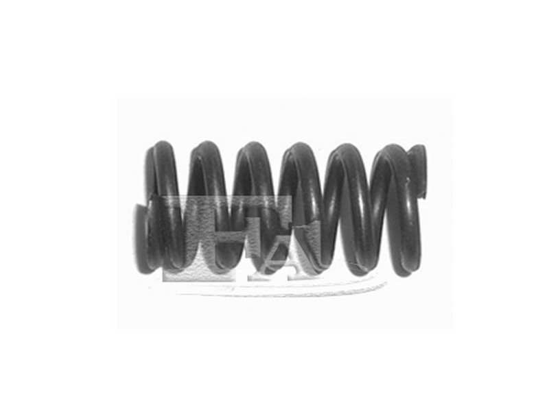 FA1 Exhaust spring 770575 Springy