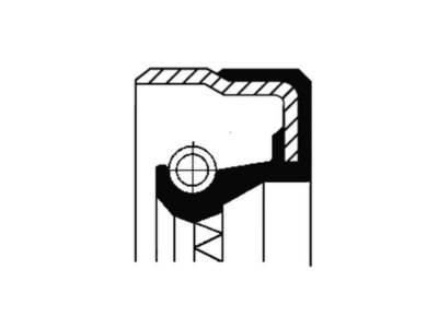 CORTECO Wellendichtring, Differential