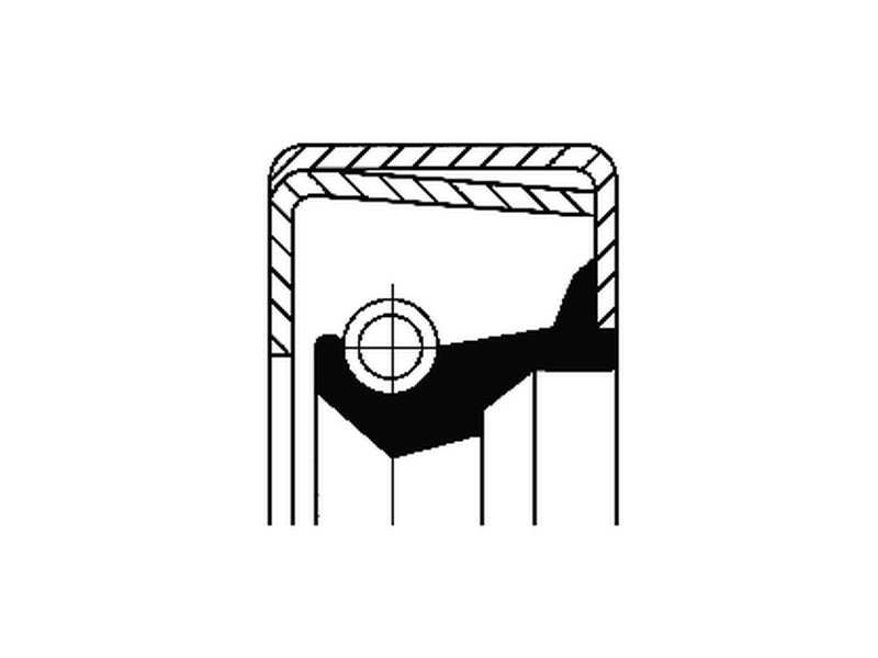 CORTECO Wellendichtring, Radnabe 233440 Einbauposition: Hinterachse, Höhe [mm]: 13, Innendurchmesser [mm]: 100, Außendurchmesser [mm]: 125