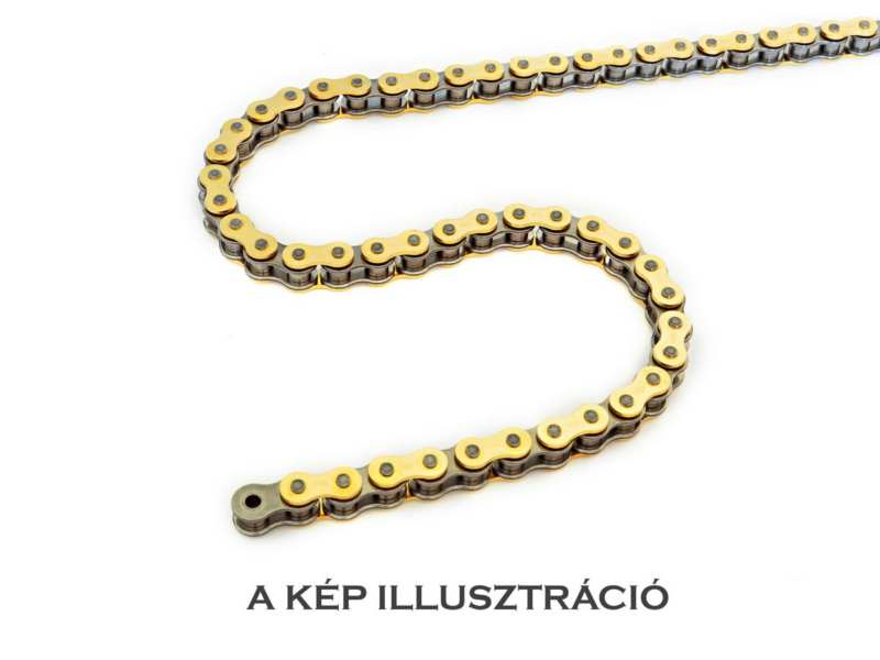 REGINA CHAIN Antriebskette 310464 Premium, Kreuz/Supermoto 1.