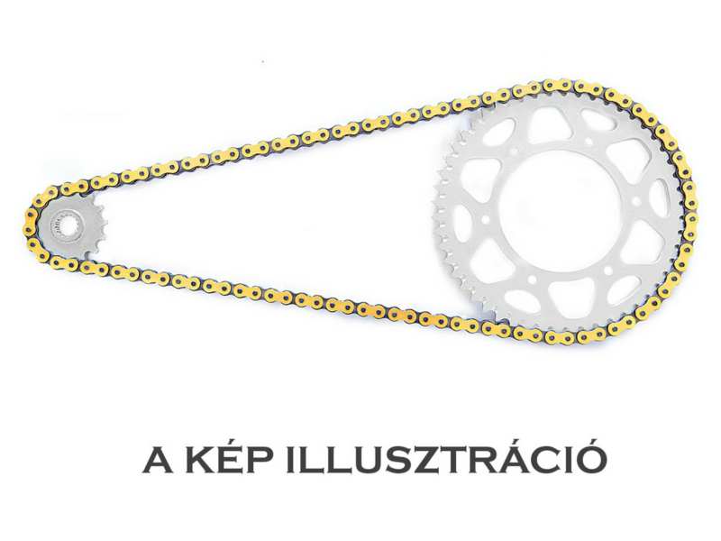 REGINA CHAIN Antriebsketten-Satz 310843 Kette: 136ZRT/006, Kettenräder: 16/42, Honda CBR 900 RR 92-95