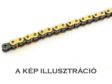 REGINA CHAIN Drive chain 310639 Ultra, Enduro 1.