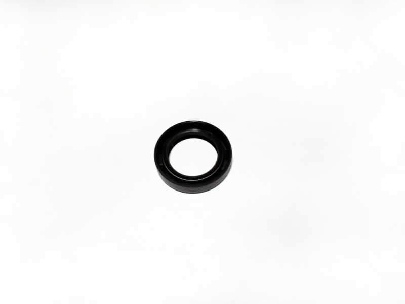 PAYEN Differential gear oil seal 10797552 Fitting Position: Front