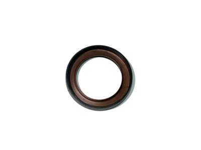 PAYEN Camshaft seal