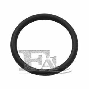 FA1 O-ring