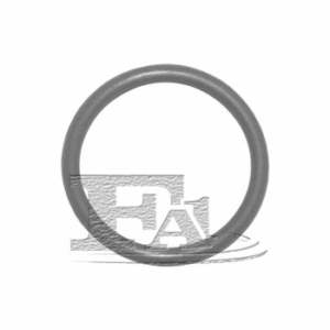 FA1 O-ring