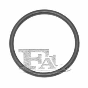 FA1 O-ring