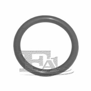 FA1 O-ring