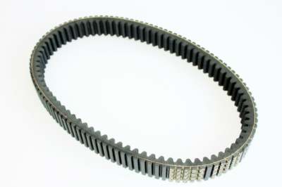 DAYCO Drive belt