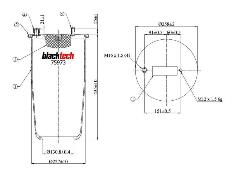 BLACKTECH Air spring semi complet 10769739 Length [mm]: 448, Inner Diameter [mm]: 130,8, Outer Diameter [mm]: 224