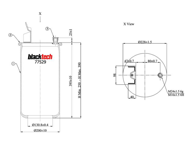 BLACKTECH Air spring semi complet 10769784 Thickness [mm]: 250, 355, Outer diameter [mm]: 228, 169, External Thread [mm]: M16 x 1,5, M24 x 1,5, M14 x 2, Fitting Position: Rear Axle left and right