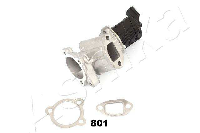 ASHIKA EGR valve 10270751 Operating Mode: Electric, Voltage [V]: 12, Number of connectors: 2