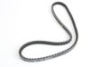 CONTITECH V-belt 10000815 Length [mm]: 1000 1.