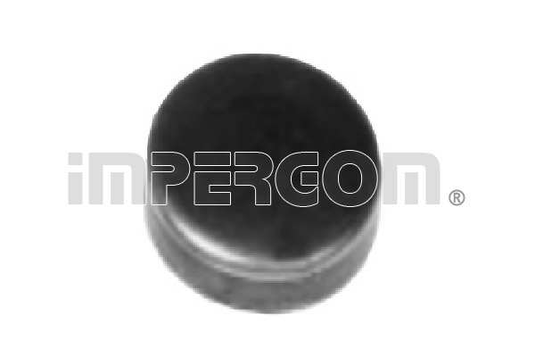 IMPERGOM Plug (water) 10940395 12 pcs/package
Material: Brass, Outer Diameter [mm]: 10