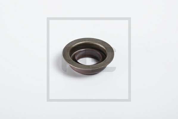 PE AUTOMOTIVE Transmission gear seal 10996095 Thickness [mm]: 14,5, Inner diameter [mm]: 25,0, Outer diameter 1 [mm]: 38, Outer diameter 2 [mm]: 49,5 General Information: for manual transmission
Thickness [mm]: 14,5, Inner Diameter [mm]: 25, Outer Diameter 1 [mm]: 38, Outer Diameter 2 [mm]: 49,5