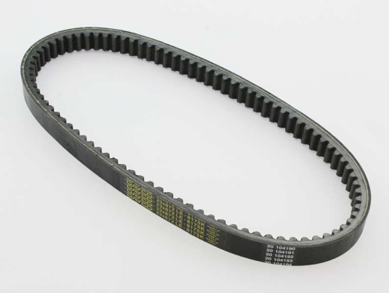 DAYCO Drive belt 10880122  1.