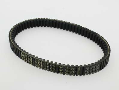 DAYCO Drive belt