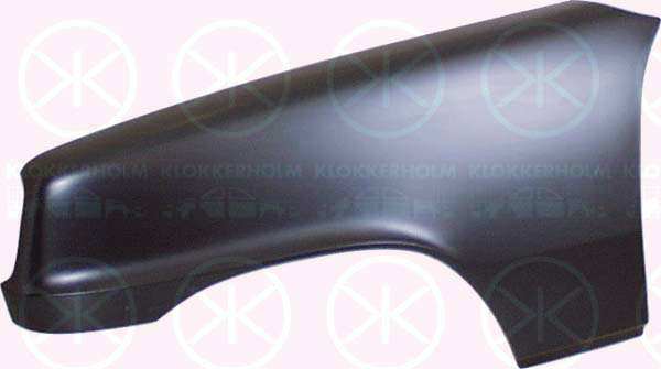 KLOKKERHOLM Einstiegblech 638059 Vorne links
Einbauseite: vorne links, Qualität: WP