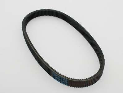 DAYCO Drive belt