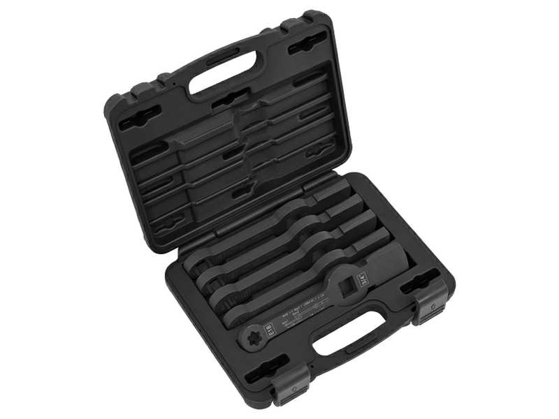 SEALEY Brake caliper tool 11036072 Set, with 5 pieces, 3/4 "for MAN (TRX E18, E20, E24) and DAF (BI-Hex 24, 26 mm) applications.