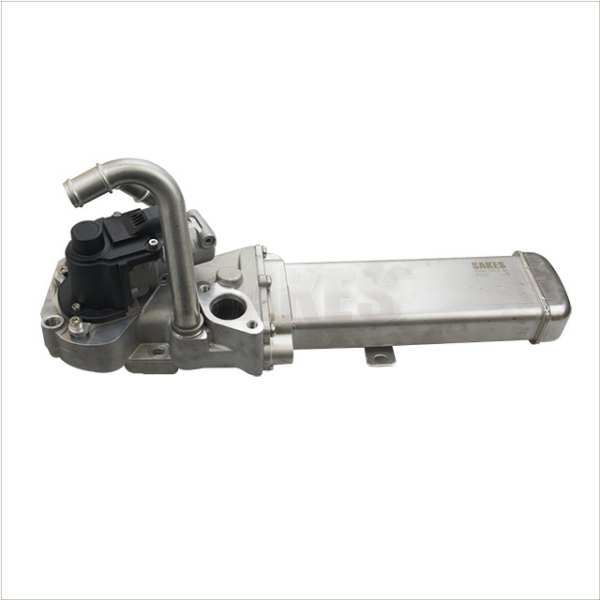 VAG GROUP EGR valve 11037223 for article number: 555350, Number of connectors: 5, RPO number: 3742 1.