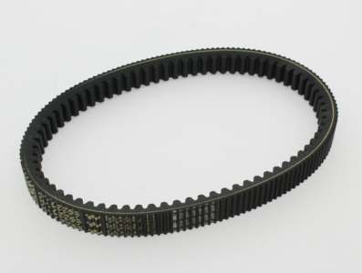 DAYCO Drive belt