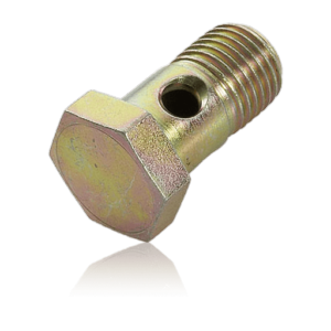 Hollow screw