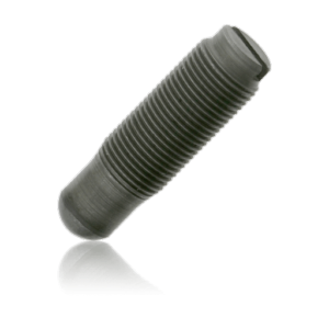 Valve adjusting screw