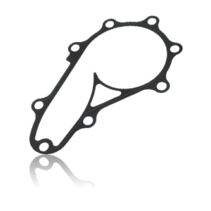 Water pump gasket