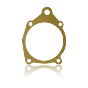 Pump gasket