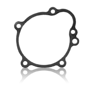 Starter cover gasket