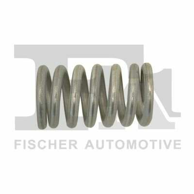 FA1 Feder, Abgasrohr 466912 Feder, 2 PCs/Pack