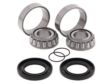 ALL BALLS Control arm bearing 11075659 Set 2.