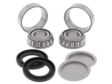 ALL BALLS Control arm bearing 11075658 Set 2.