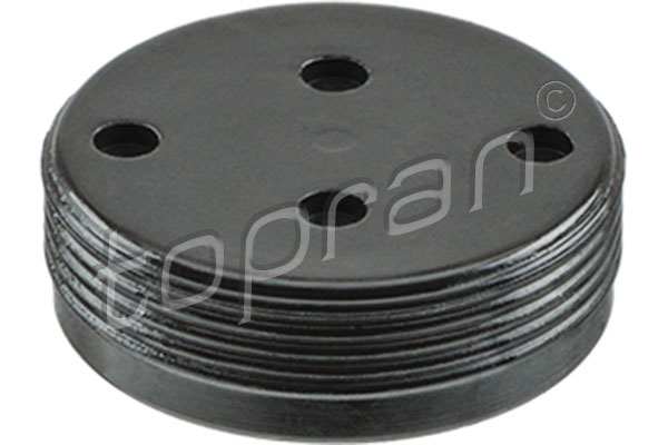 HANS-PRIES Plug (water) 711230 Outer diameter [mm]: 26, Material: Steel, Surface: Rubberized, Material, 1st layer: ACM (Polyacrylate), Colour: Black 1.