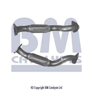 BM CATALYSTS Exhaust flexible pipe