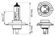 BOSCH Glühlampe 250944 H4
Spannung [V]: 12, Nennleistung [W]: 60/55, Lampenart: H4, Sockelausführung Glühlampe: P43t
Kann aus Gründen der Qualitätssicherung nicht zurückgenommen werden! 7.