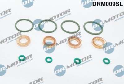 DR.MOTOR AUTOMOTIVE Dichtring