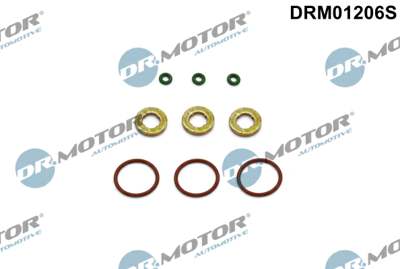 DR.MOTOR AUTOMOTIVE Dichtring