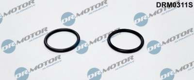 DR.MOTOR AUTOMOTIVE Dichtring