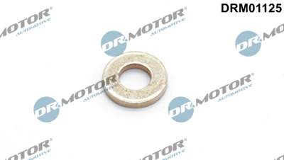 DR.MOTOR AUTOMOTIVE Dichtring