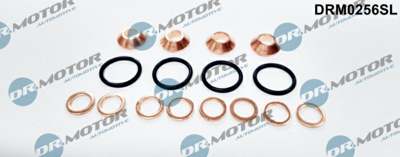 DR.MOTOR AUTOMOTIVE Dichtring